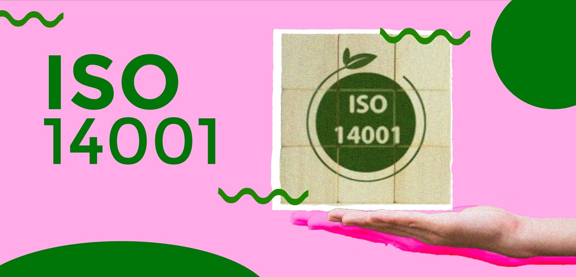 Système De Management De L’environnement Iso 14001